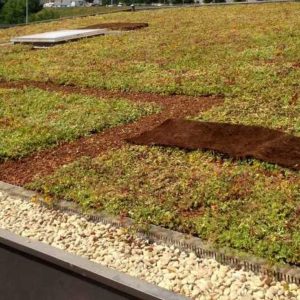 vegetalisation-toiture-terrasse-grenoble